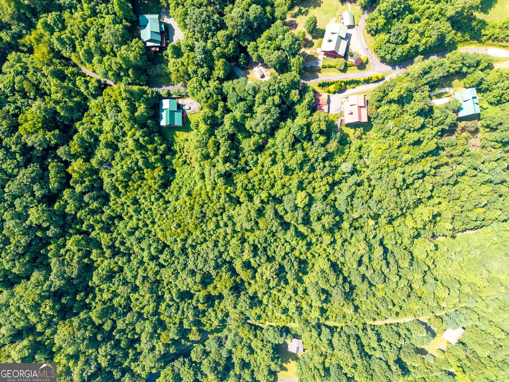 46 Buck Ridge Drive Murphy, NC 28906 - Photo 11 of 17