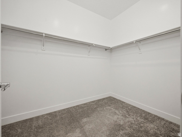 877 South Yarrow Drive Mapleton, UT 84664 - Photo 13 of 46 Walk-in closet featuring white walls, durable gray carpeting, and ample hanging rods