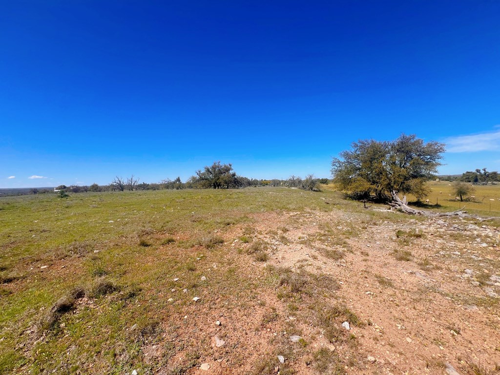 283 Cut-Off Road, Unit 1 Fredericksburg, TX 78624 - Photo 7 of 8 Gallery Image 7
