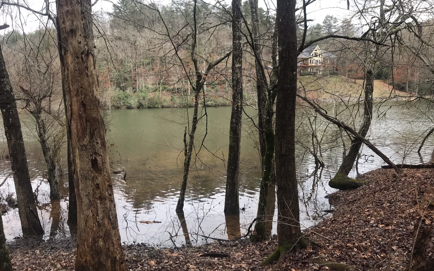 Old Evans Road Murphy, NC 28906 - Photo 1 of 1 a view of a yard