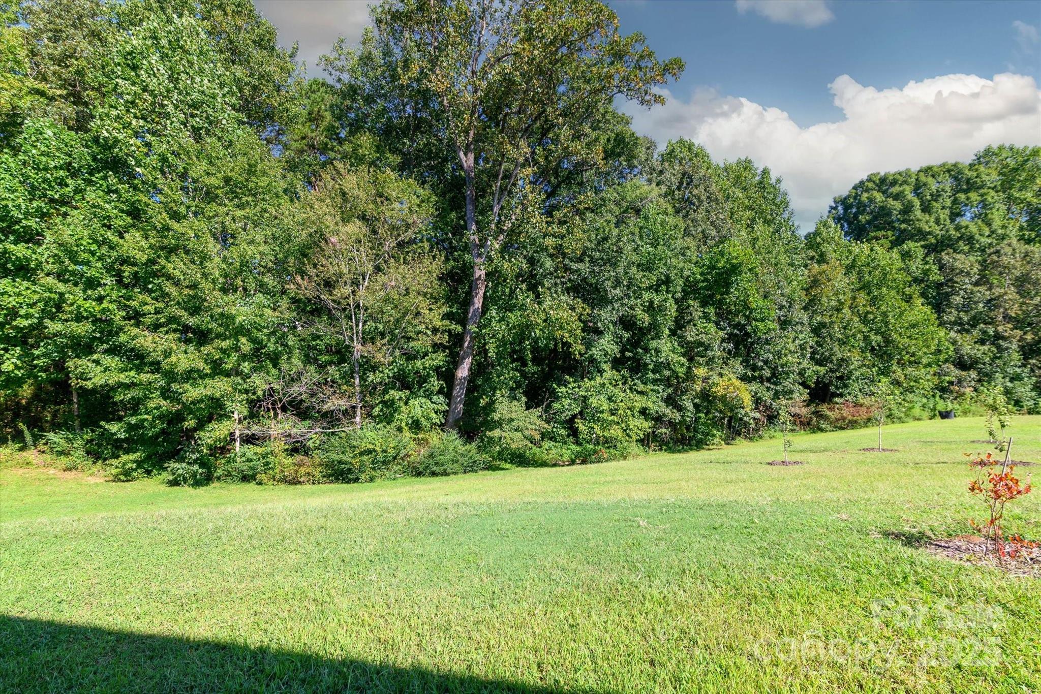 5345 Christopher Road Iron Station, NC 28080 - Photo 43 of 48 a view of yard with green space
