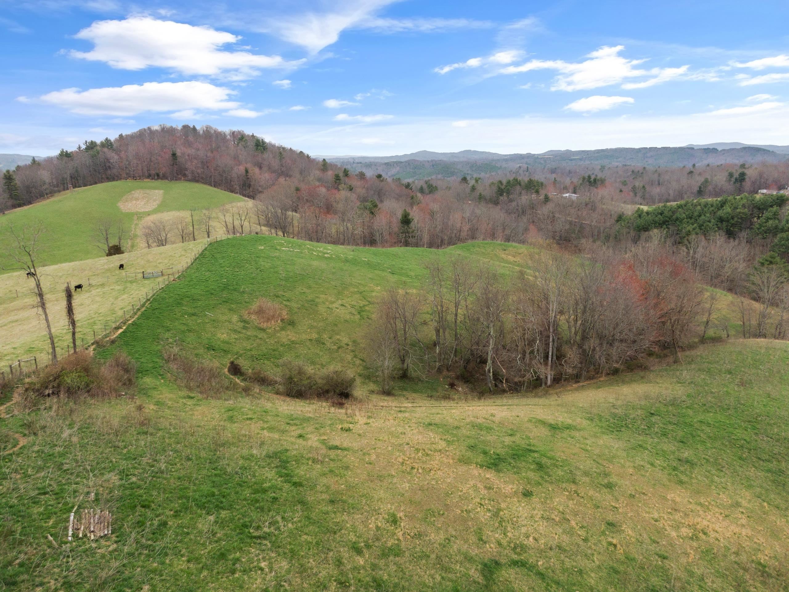 497 Horse Ridge Road Northwest Willis, VA 24380 - Photo 55 of 64 Gallery Image 55
