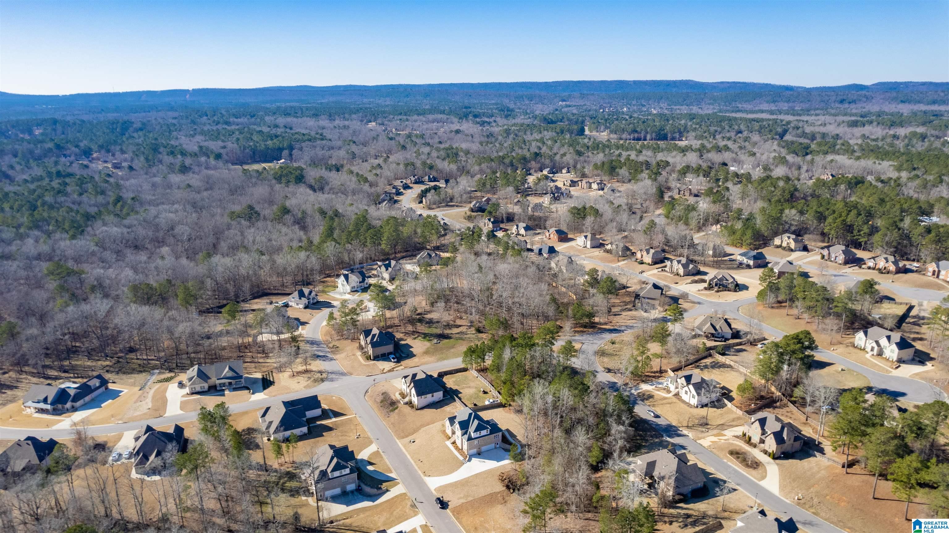 116 Bolivar Lane Chelsea, AL 35043 - Photo 46 of 56