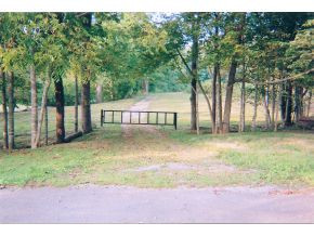 Tbd Mc Curry Road Unicoi, TN 37692 - Photo 1 of 4 Photo 1