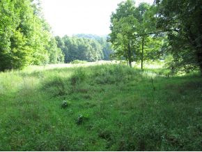 Tbd Mc Curry Road Unicoi, TN 37692 - Photo 3 of 4 Photo 3
