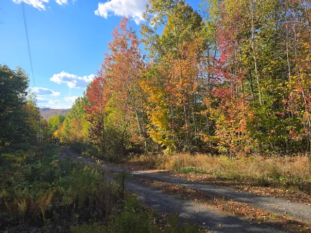 $25,000 | Lot 21 Red Granite Rd Island Falls, Island Falls, ME 04747
