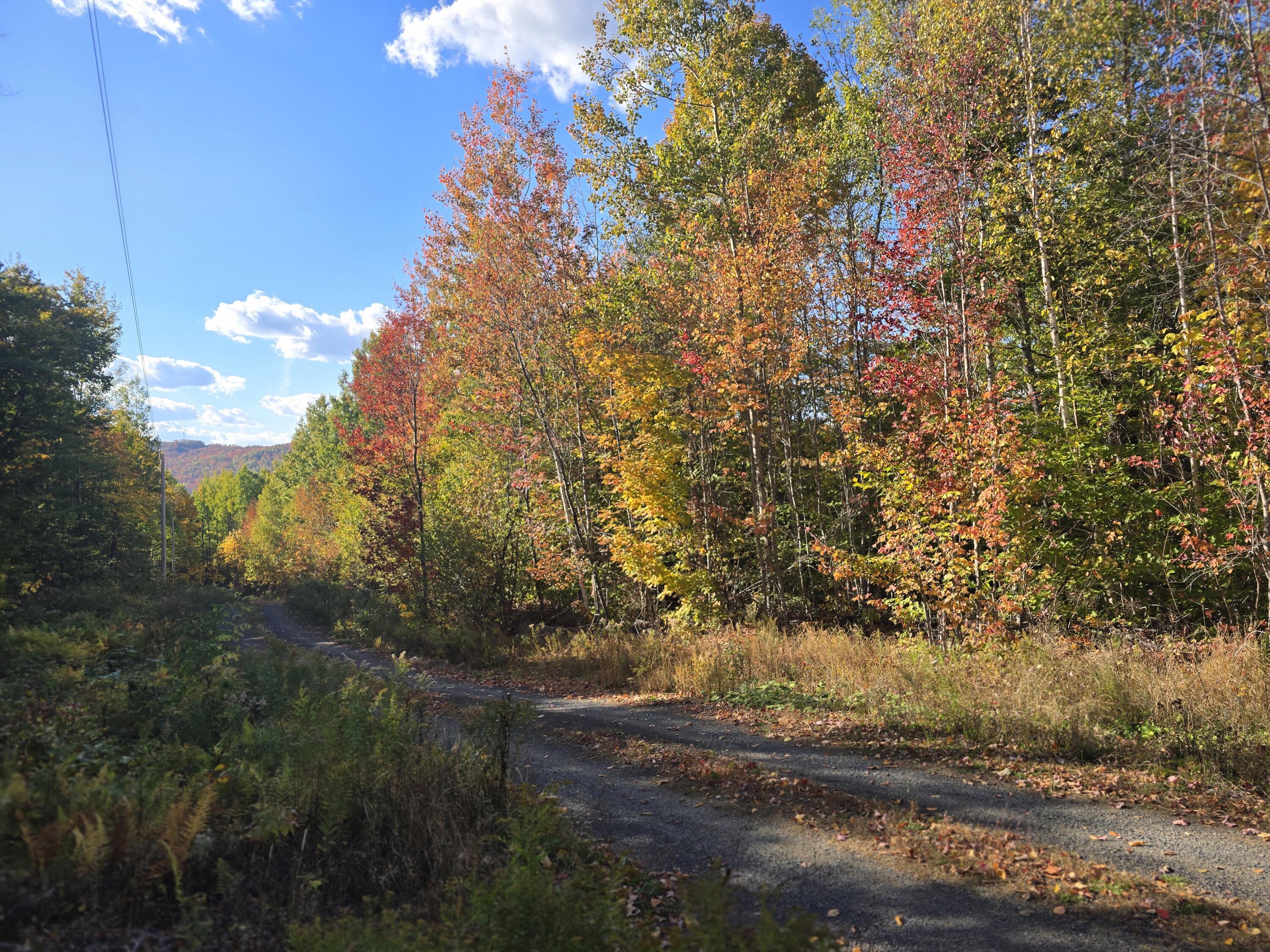 Lot 21 Red Granite Rd Island Falls Island Falls, ME 04747 - Photo 4 of 16 20251004_152953