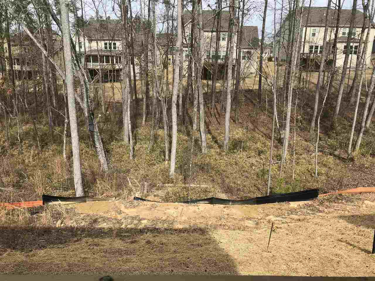 2516 Rambling Creek Road, Unit 28 Apex, NC 27523 - Photo 18 of 29 Back Yard View
