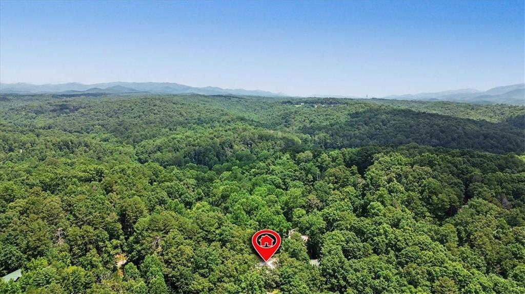 617 Zenith Trail Ellijay, GA 30540 - Photo 57 of 59