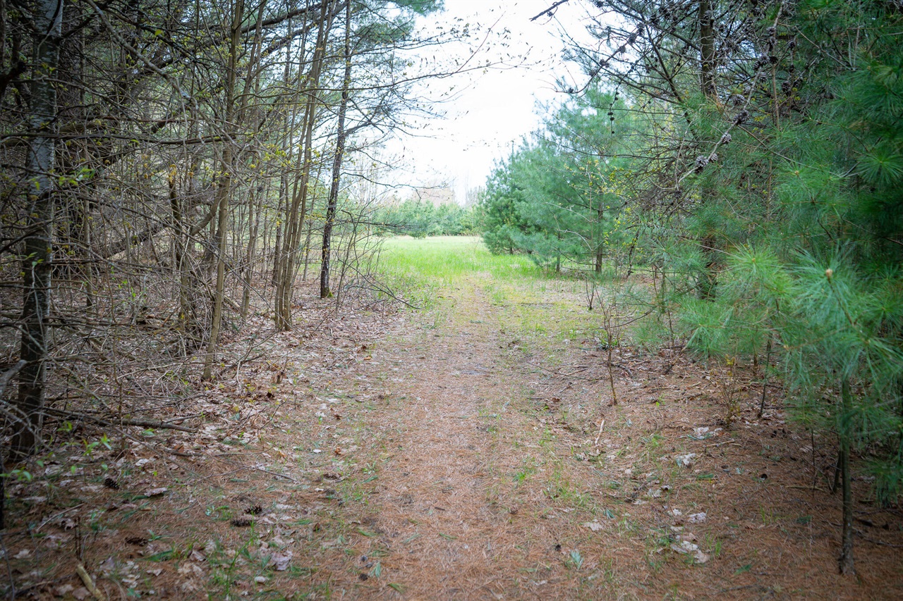 V/l Hudson Road South Boardman, MI 49680 - Photo 22 of 34