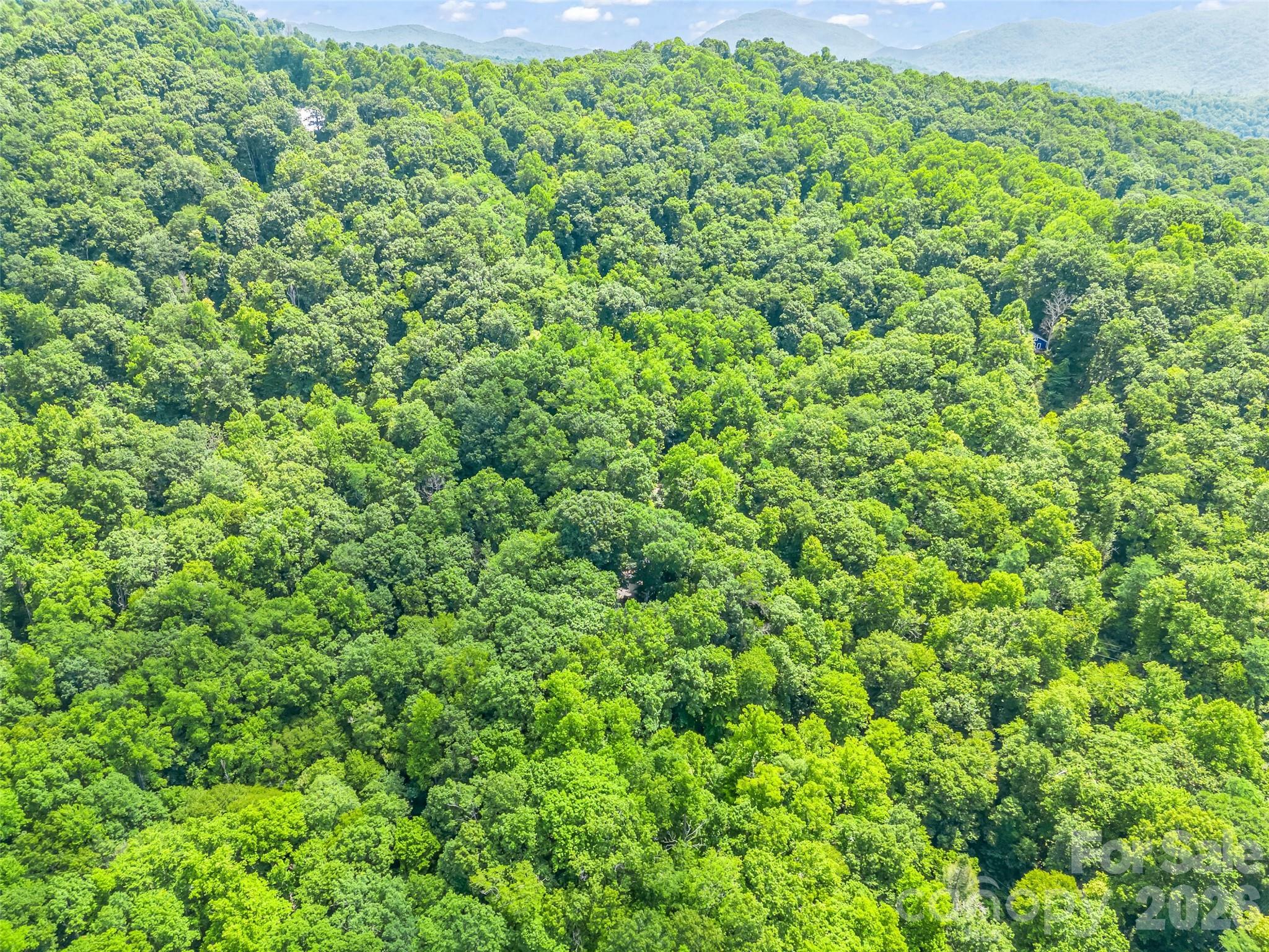20 Kimberly Road Black Mountain, NC 28711 - Photo 40 of 46