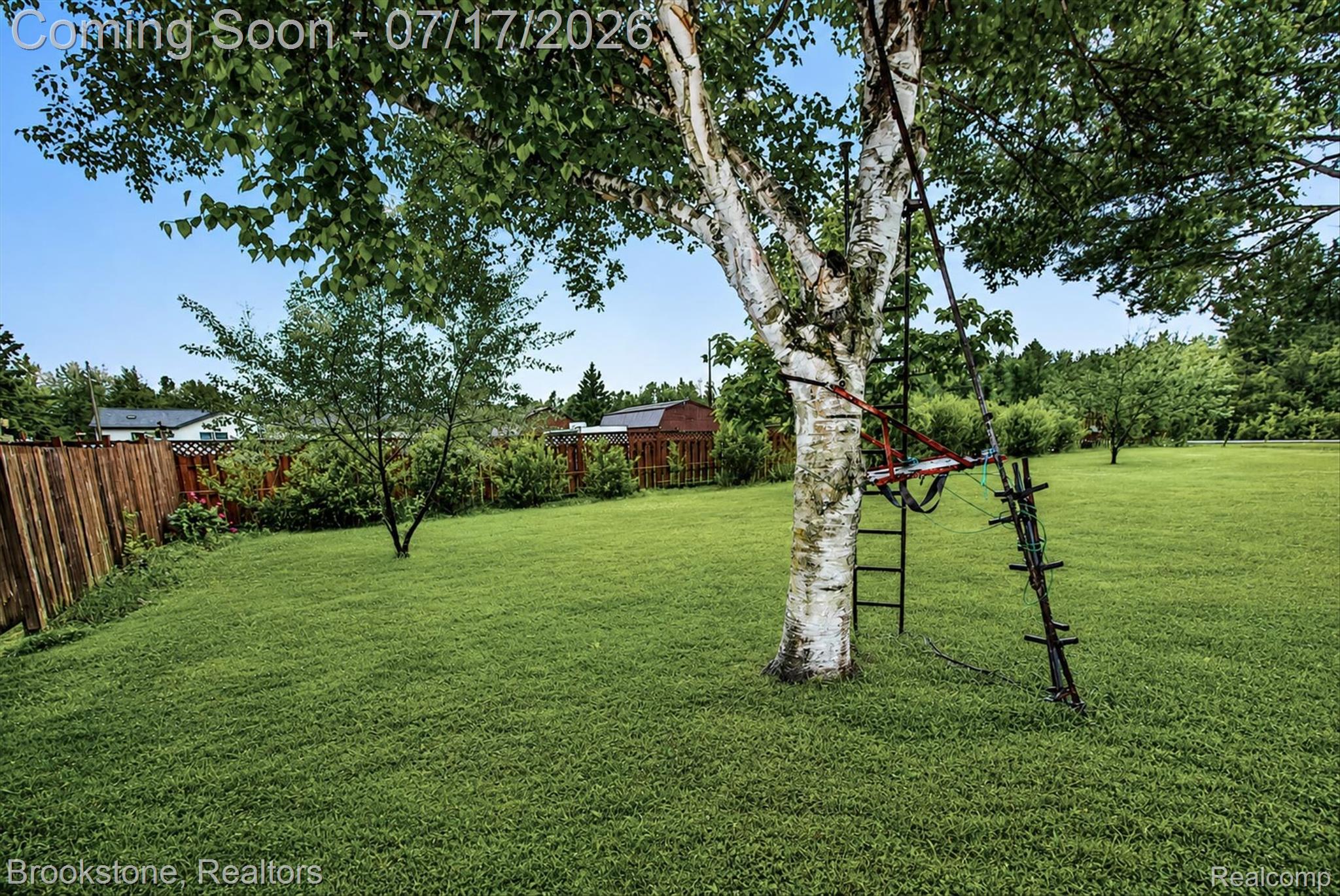 22709 Pleasant Valley Road Hillman, MI 49746 - Photo 41 of 42 Spacious outdoor area featuring a prominent birch tree, expansive green lawn, and mature perimeter trees