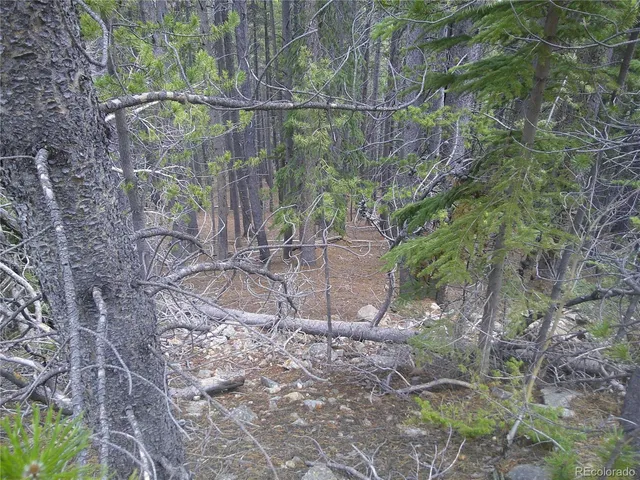 $23,500 | 440 Hillside Road, Idaho Springs, CO 80452