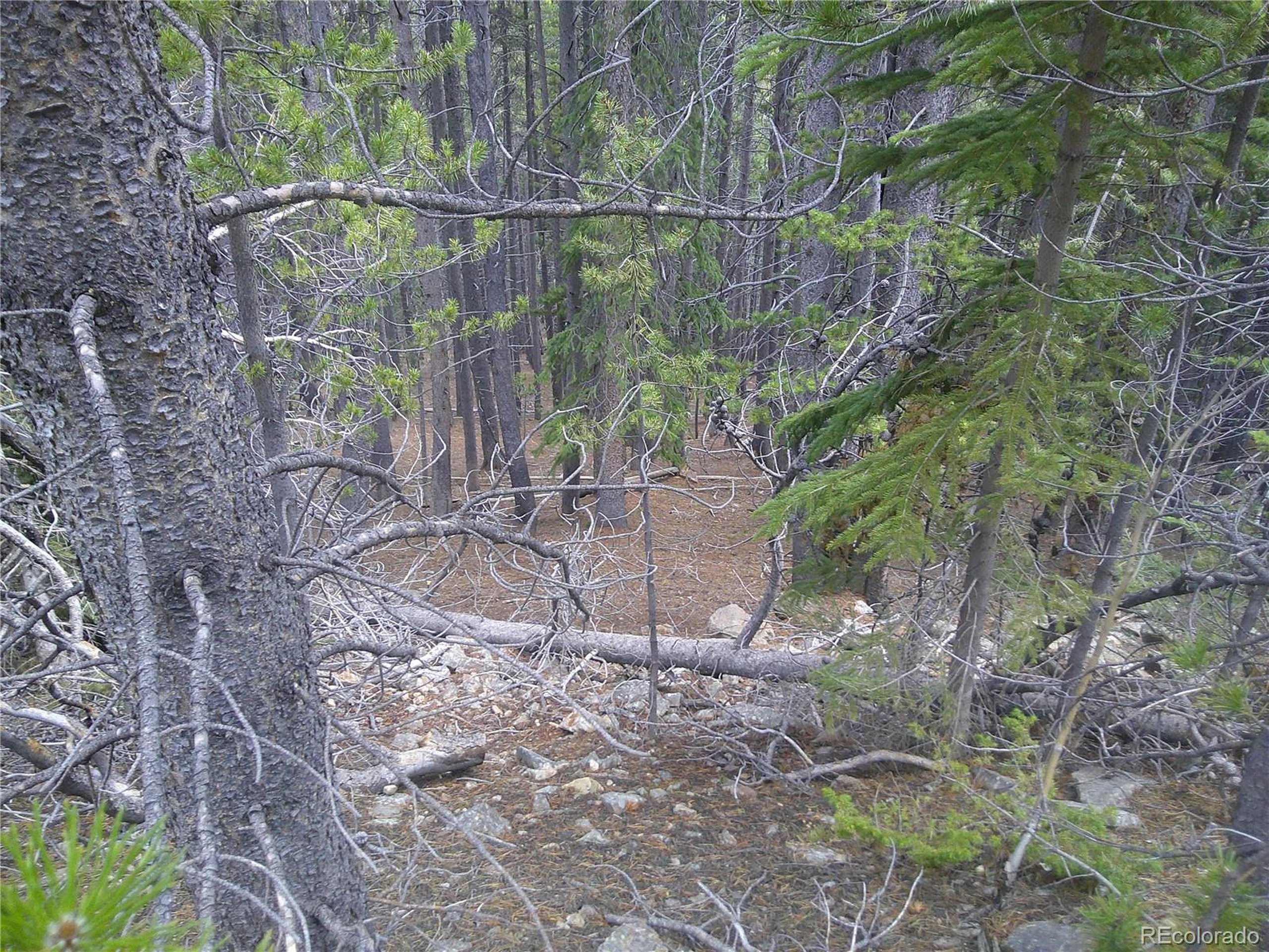 440 Hillside Road Idaho Springs, CO 80452 - Photo 2 of 4