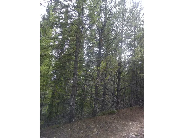 $23,500 | 440 Hillside Road, Idaho Springs, CO 80452