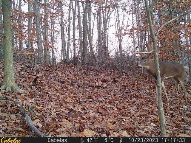 0 East Fork Road Laurelville, OH 43135 - Photo 4 of 16 10230520