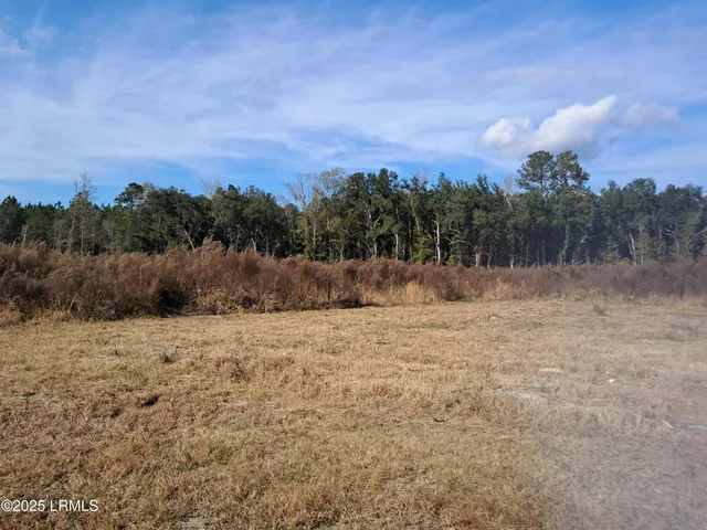 $500,000 | 308 Ricochet Lane, Ruffin, SC 29475