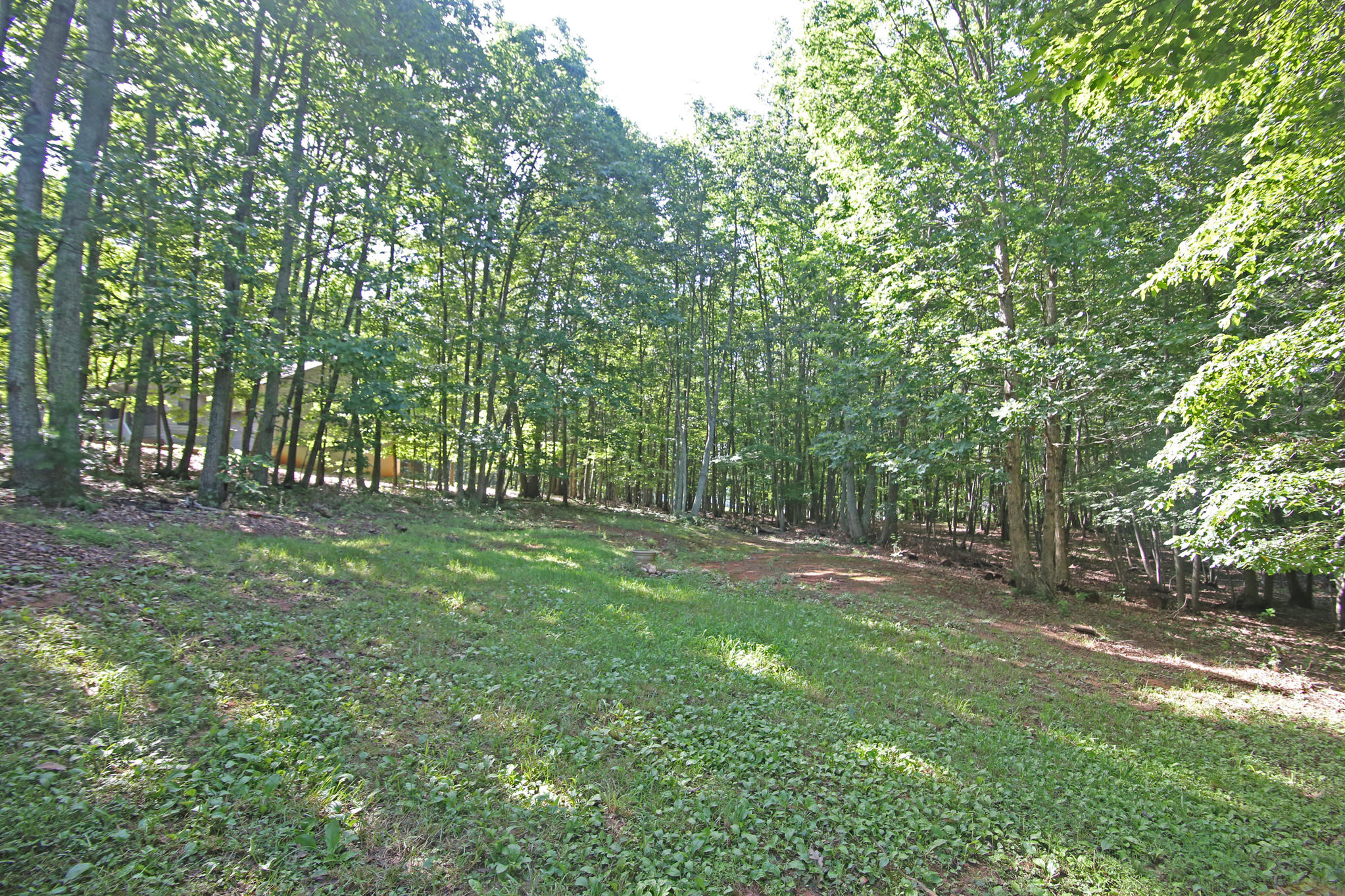 1433 Diamond Hill Road Moneta, VA 24121 - Photo 45 of 50 DGA_7972