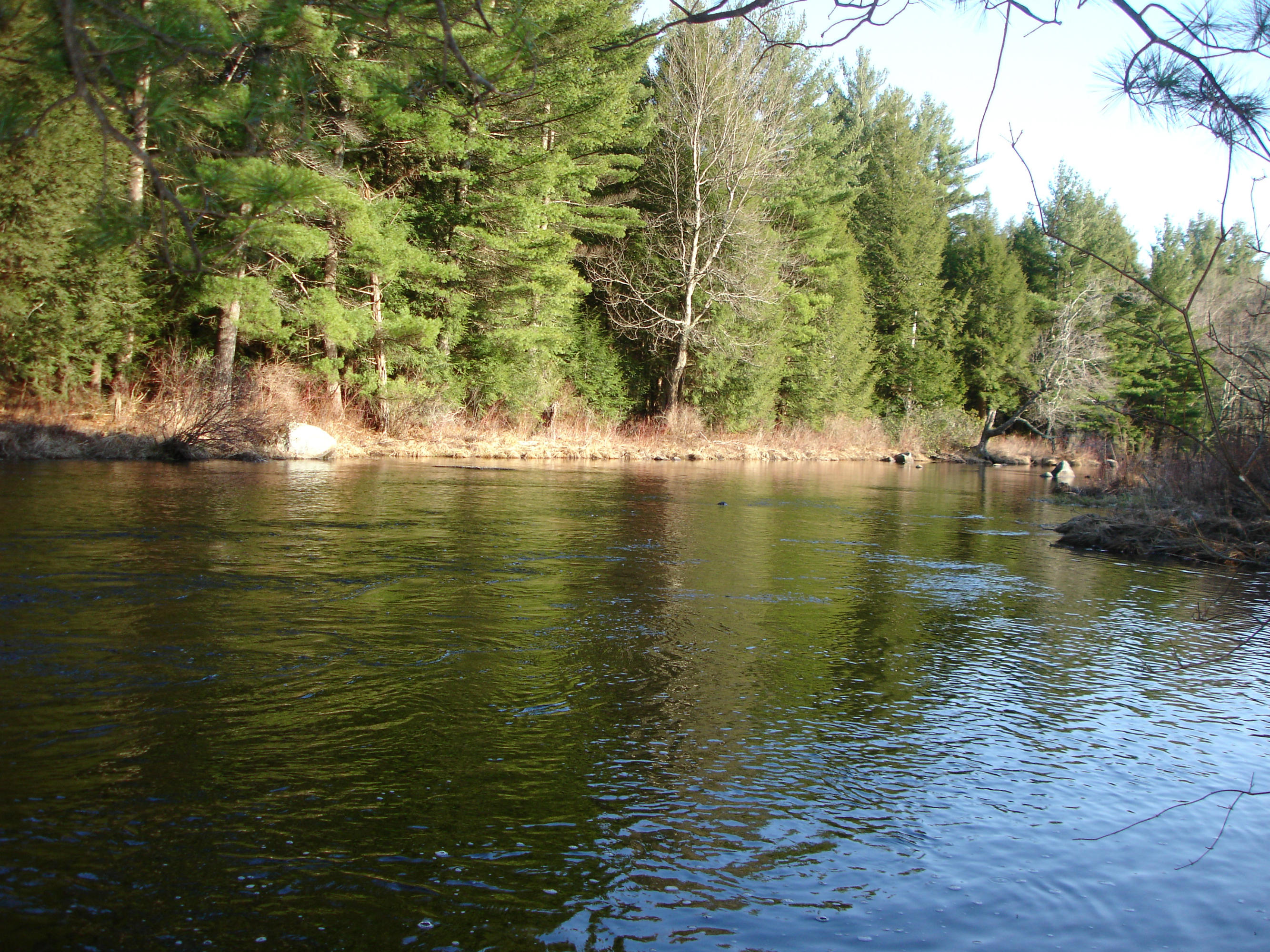 358 North Main Road Otis, MA 01253 - Photo 13 of 18 a view of lake