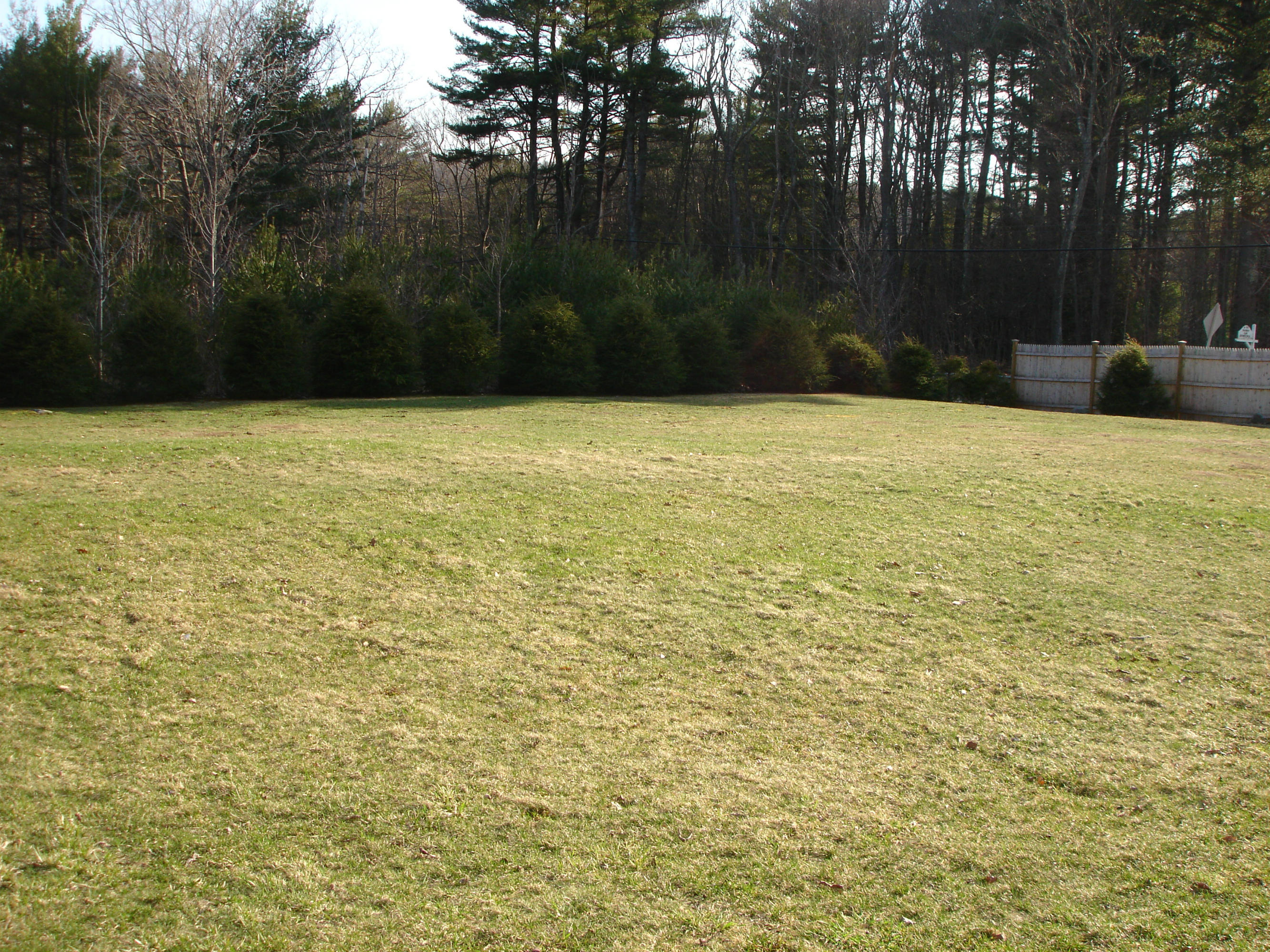 358 North Main Road Otis, MA 01253 - Photo 9 of 18 a view of swimming pool in front of yard