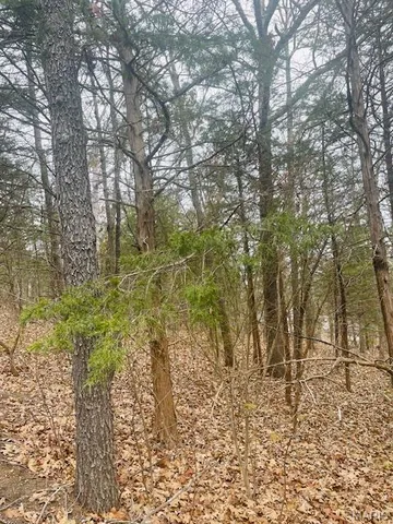 $4,500 | 0 West Forest Lane, Owensville, MO 65066