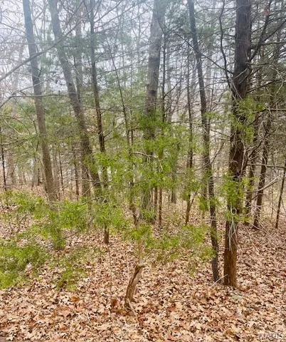 $4,500 | 0 West Forest Lane, Owensville, MO 65066