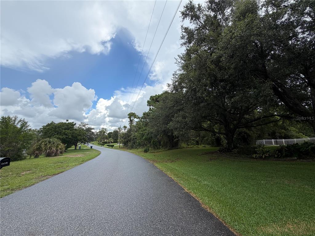 Corydon Ave Spring Hill Spring Hill, FL 34609 - Photo 3 of 9