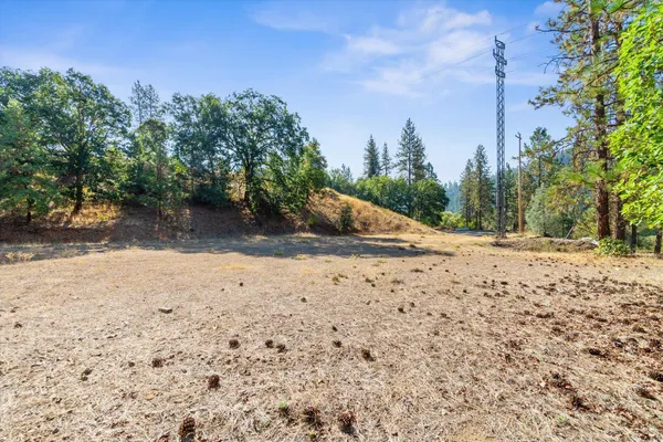 a view of dirt yard with a tree