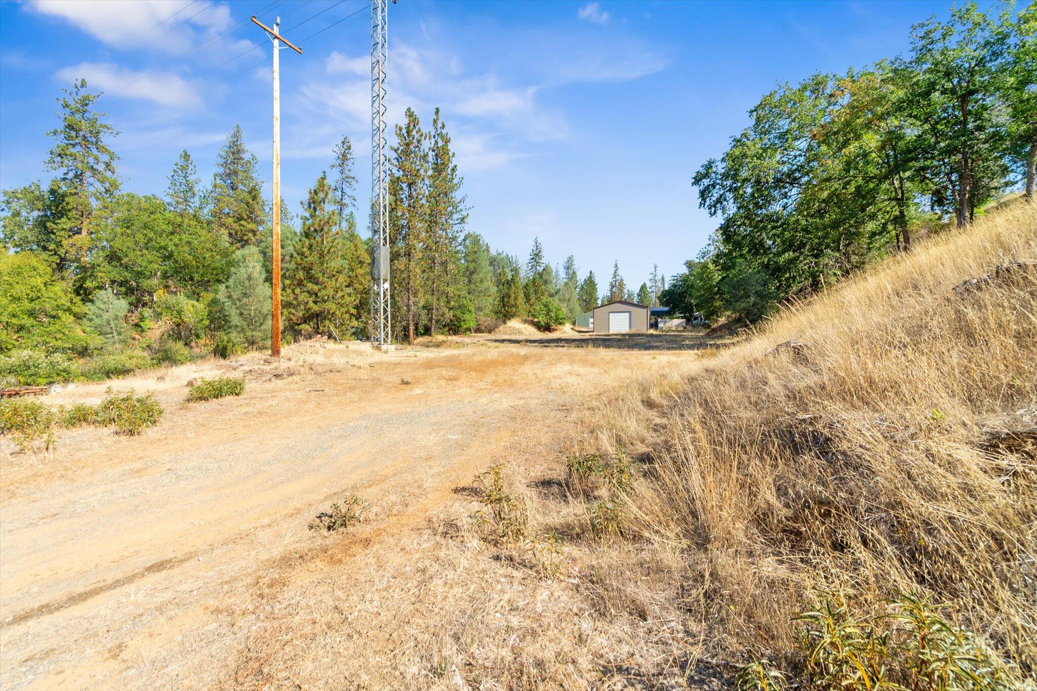 221 Davis Road Weaverville, CA 96093 - Photo 17 of 17 a view of a yard with trees in the background