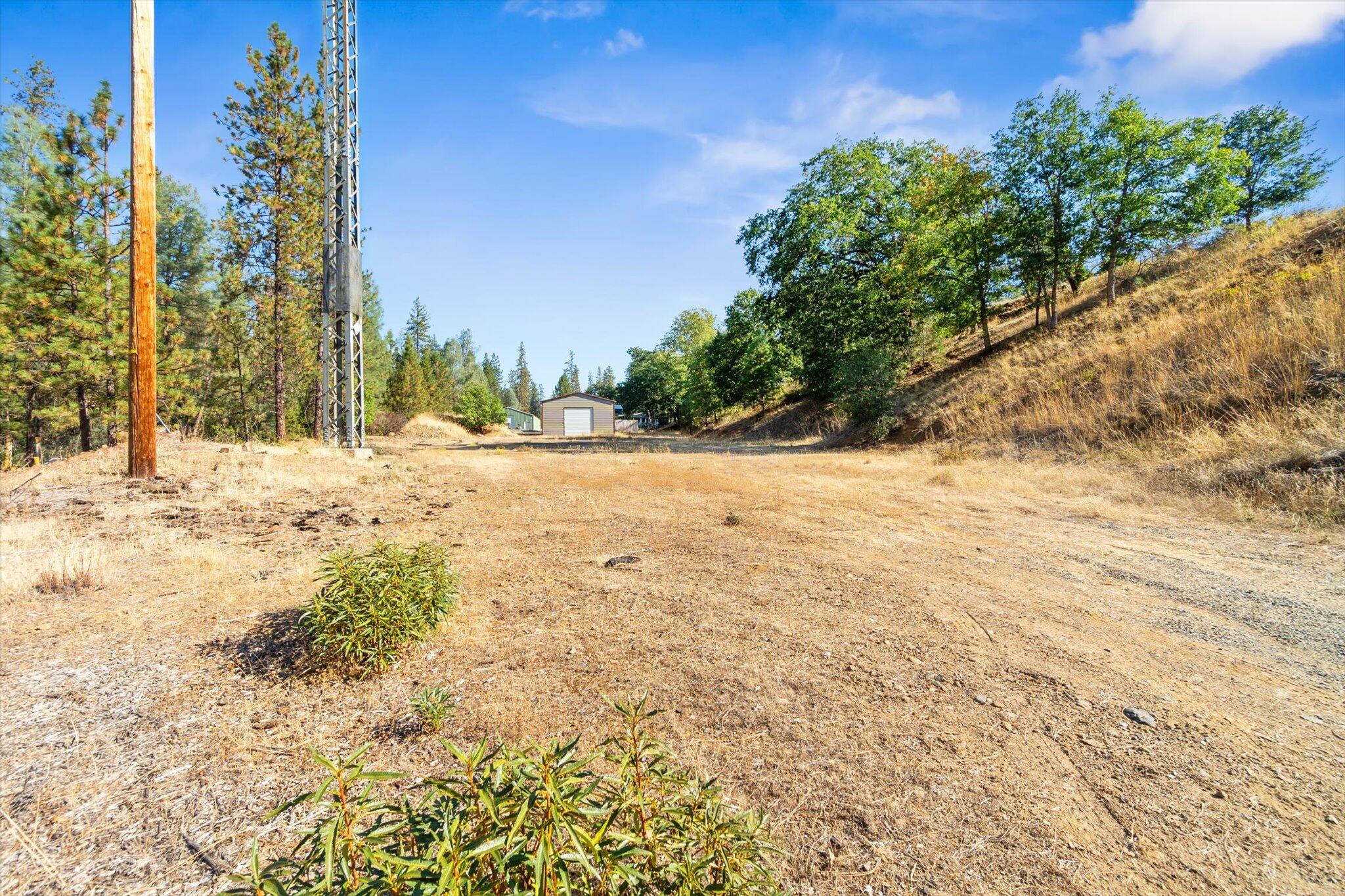 221 Davis Road Weaverville, CA 96093 - Photo 5 of 17 a view of yard with trees