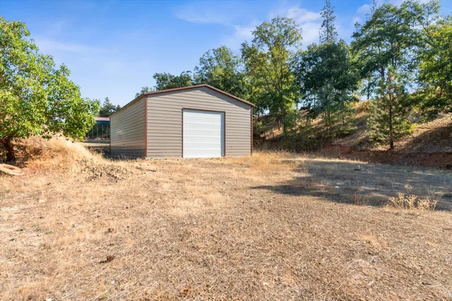 a view of backyard of house with large tree