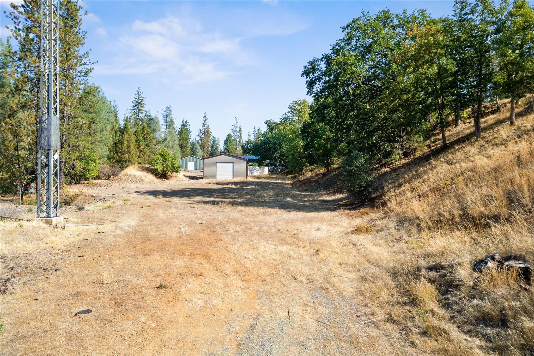 221 Davis Road Weaverville, CA 96093 - Photo 10 of 17 a view of a yard with plants and trees