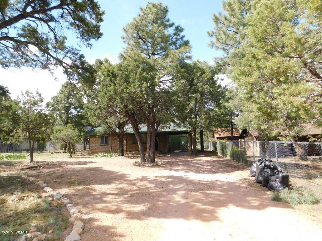 2136 Cottontail Road Overgaard, AZ 85933 - Photo 13 of 23 a street view covered with tall trees
