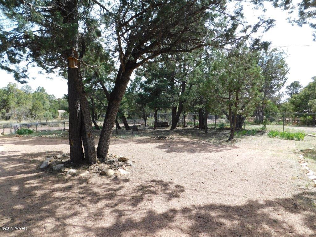 2136 Cottontail Road Overgaard, AZ 85933 - Photo 15 of 23 a view of backyard with green space