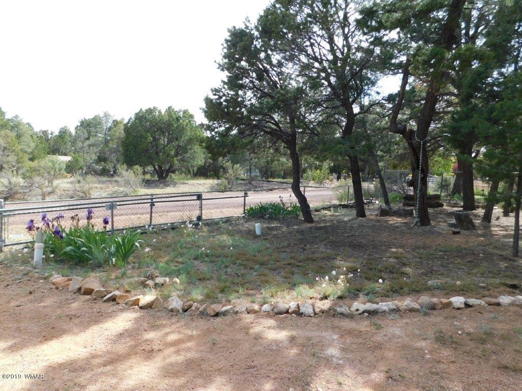 2136 Cottontail Road Overgaard, AZ 85933 - Photo 16 of 23 a view of outdoor space with trees