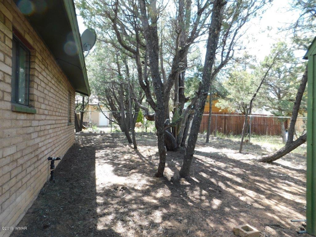 2136 Cottontail Road Overgaard, AZ 85933 - Photo 18 of 23 a backyard of a house with lots of green space