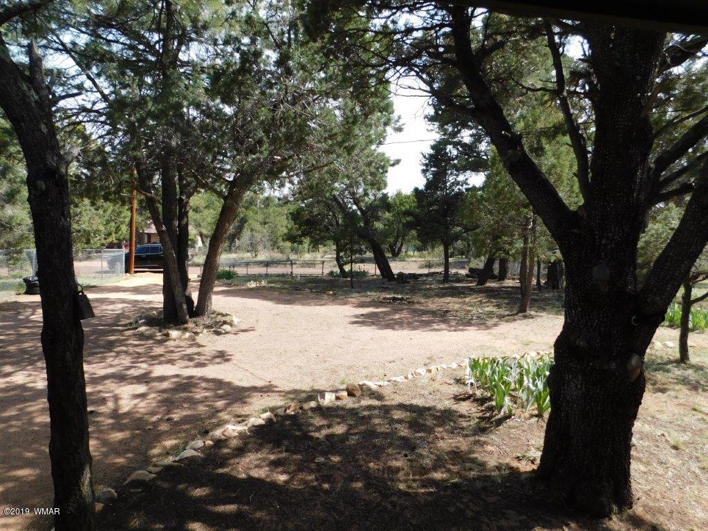 2136 Cottontail Road Overgaard, AZ 85933 - Photo 3 of 23 a view of road with trees