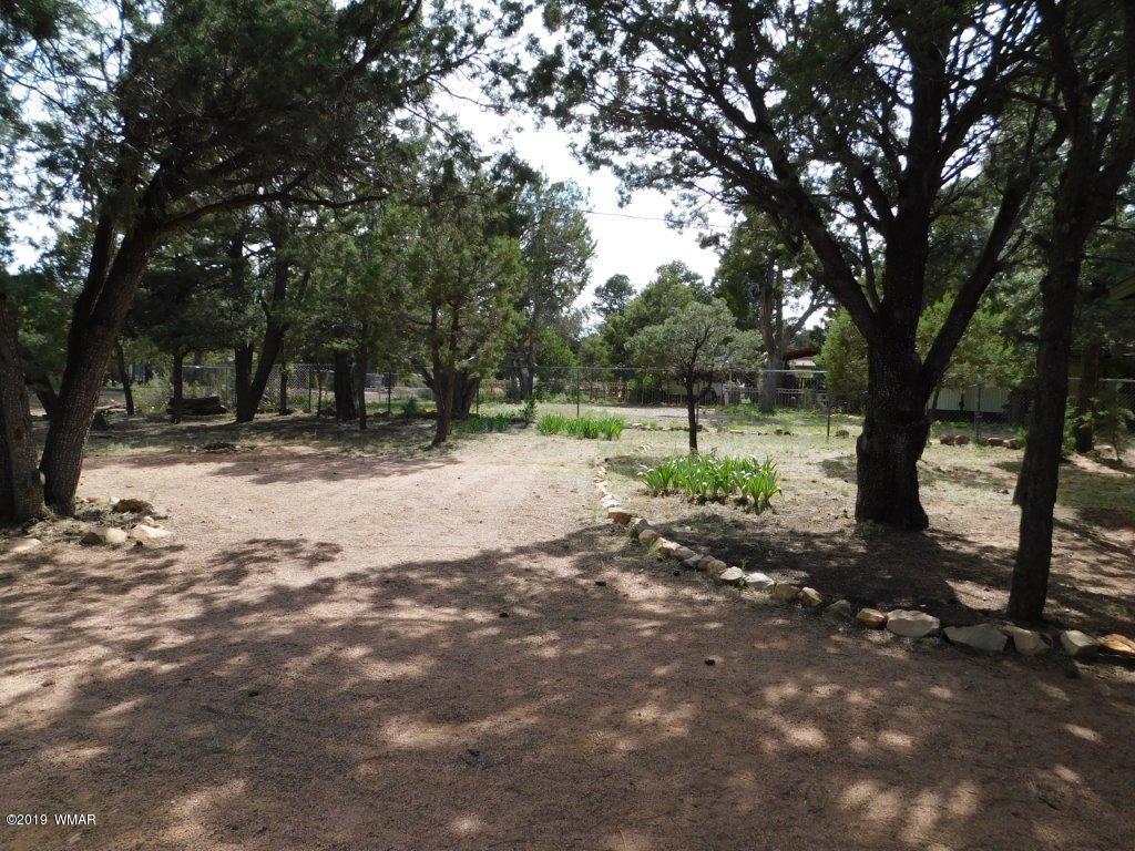 2136 Cottontail Road Overgaard, AZ 85933 - Photo 5 of 23 a view of outdoor space with trees