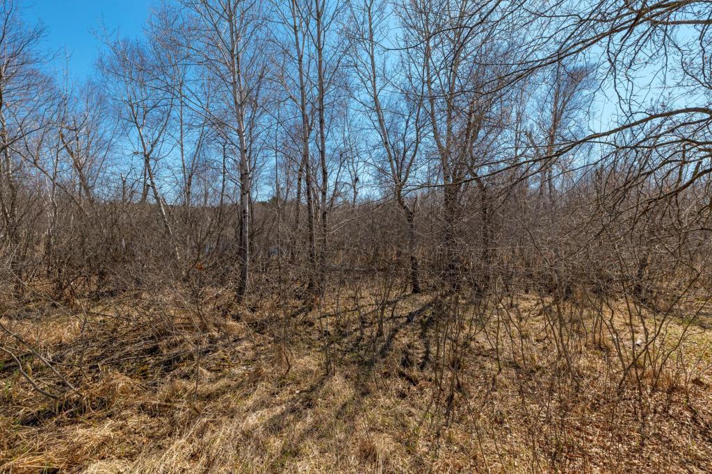 5666 Heather Ridge Drive Shoreview, MN 55126 - Photo 22 of 22