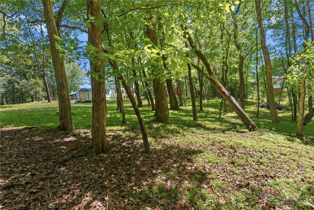 154 Folger Road Sparta, NC 28675 - Photo 33 of 37 a backyard of a house with lots of green space