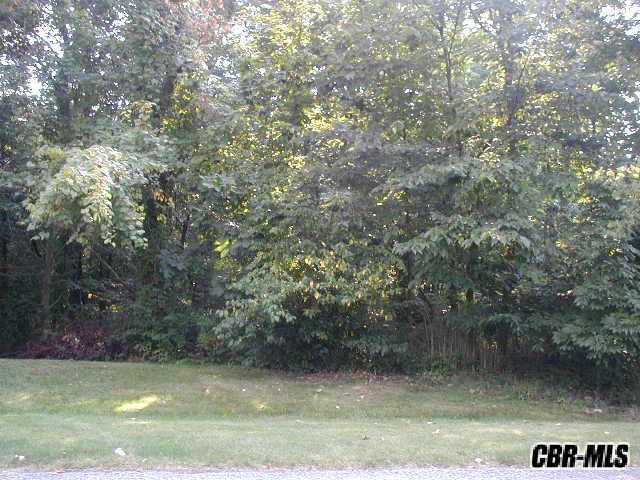 Lot 1226 Hickory Ridge Court Lewis Center, OH 43035 - Photo 1 of 1