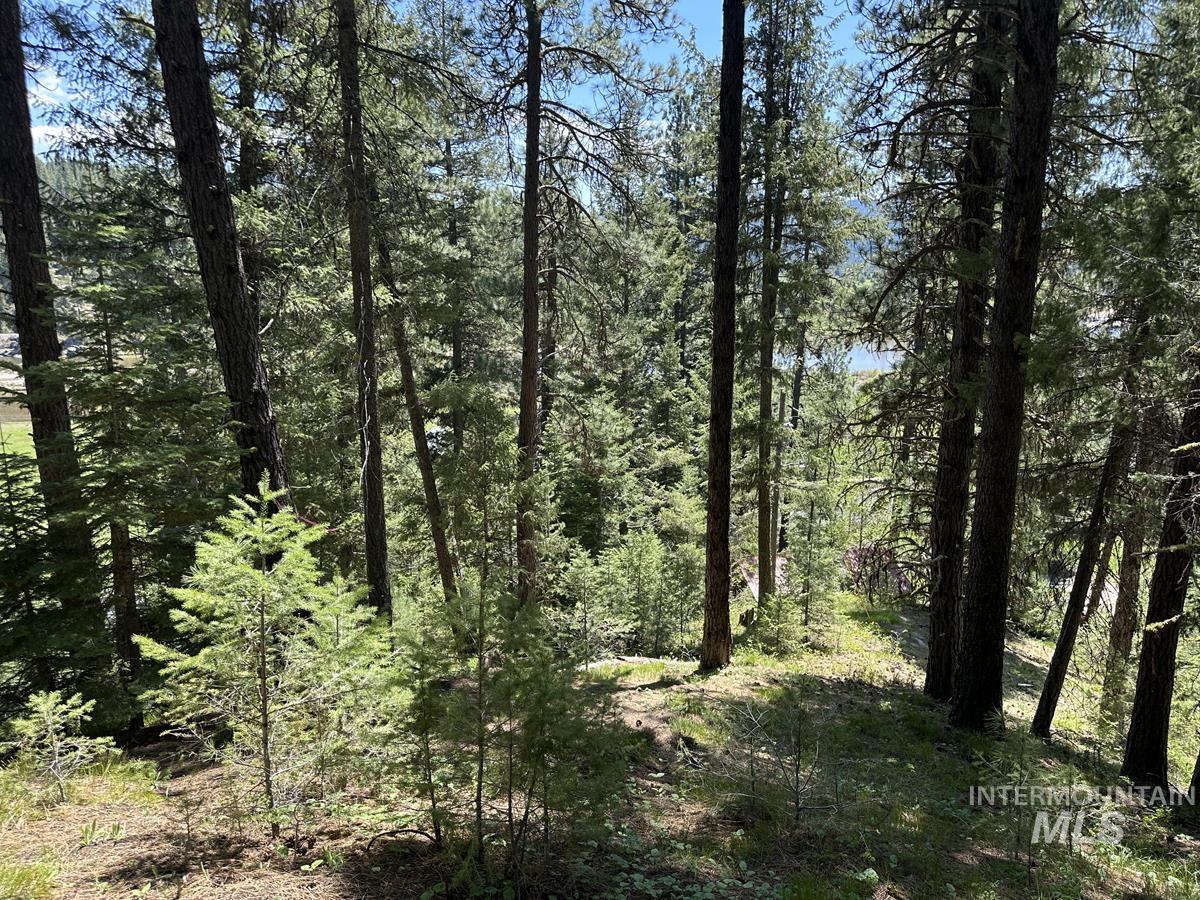 9810 Brian Way Cascade, ID 83611 - Photo 4 of 7 Nicely Wooded With Awesome Payette River and Mountain Views