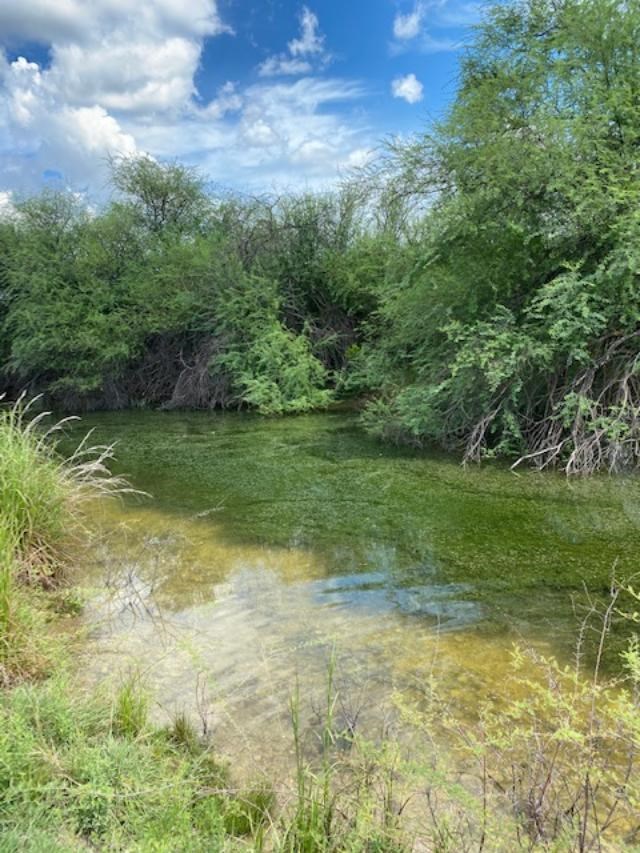 13955 Ranch Road 2523 Del Rio, TX 78840 - Photo 12 of 77