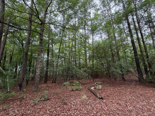 53 Robinson Road Seale, AL 36875 - Photo 9 of 15
