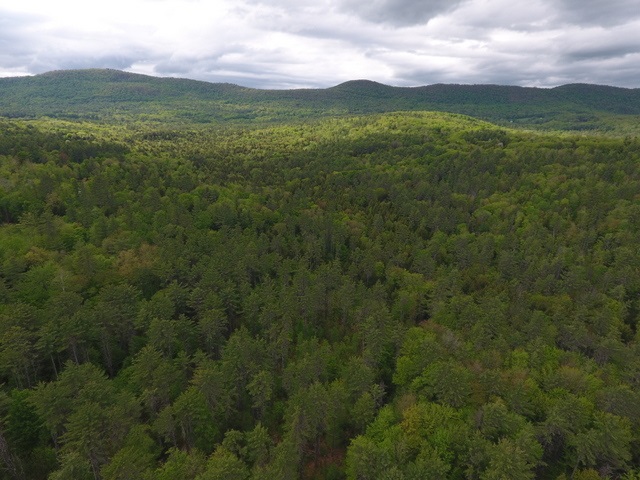 330 Baltimore Road Baltimore, VT 05143 - Photo 3 of 16