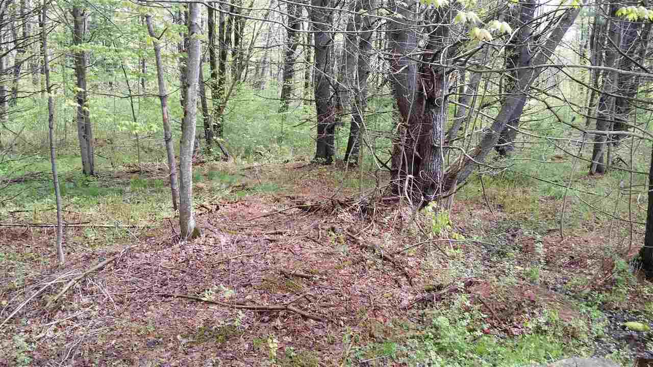 330 Baltimore Road Baltimore, VT 05143 - Photo 5 of 16