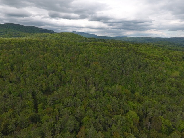 330 Baltimore Road Baltimore, VT 05143 - Photo 7 of 16