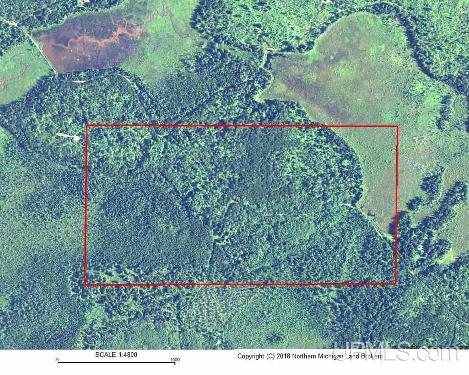 80-acres Co Rd Ffw Republic, MI 49879 - Photo 21 of 21