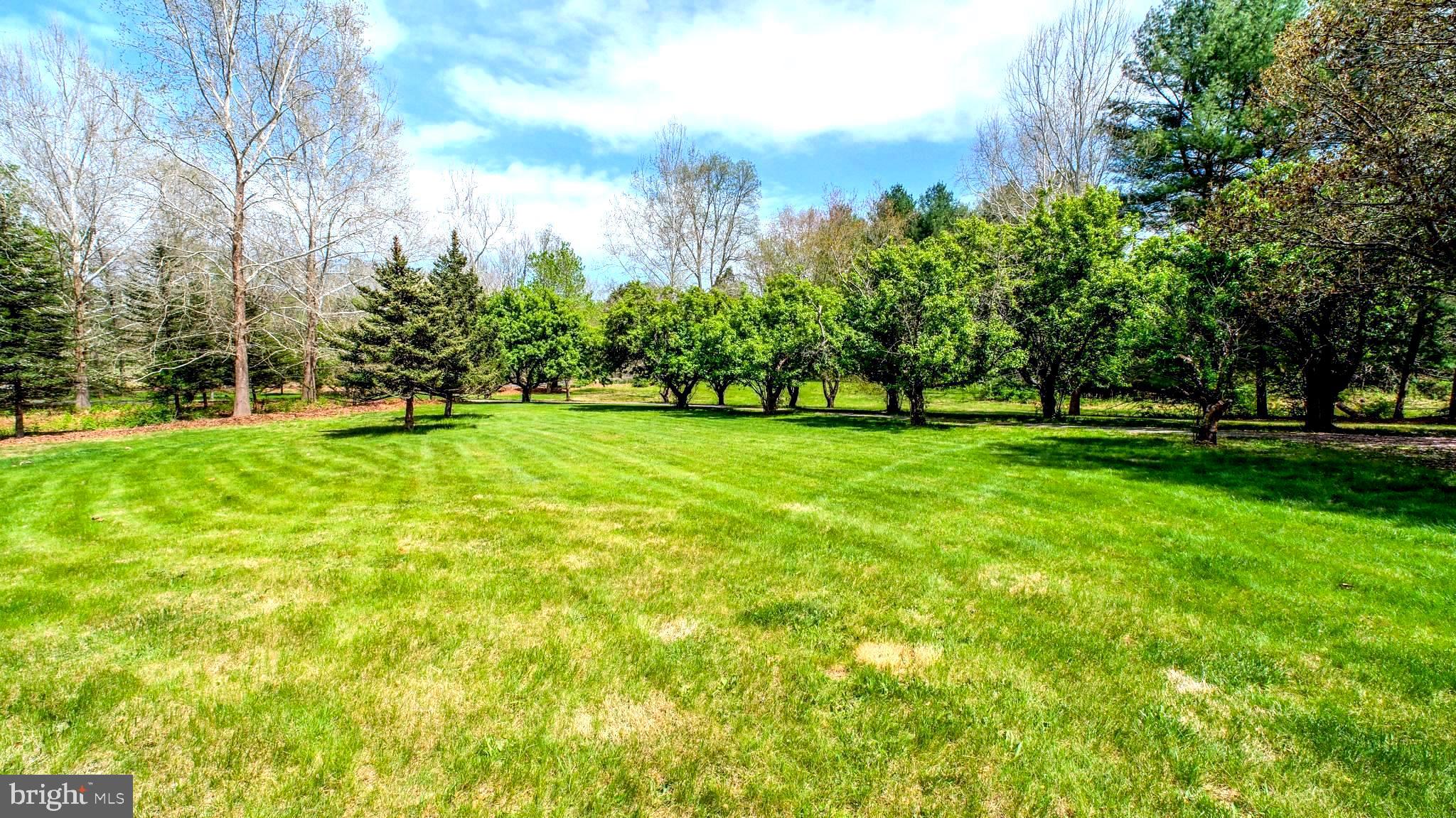 4992 Scrabble Road Shepherdstown, WV 25443 - Photo 15 of 28 Front Yard