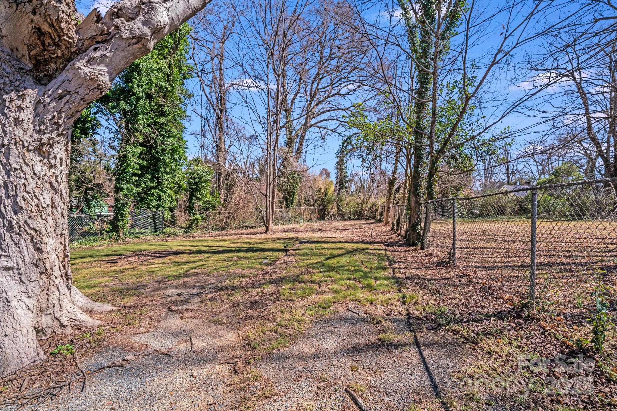 3138 Morson Street Charlotte, NC 28208 - Photo 19 of 21 a view of backyard with tree